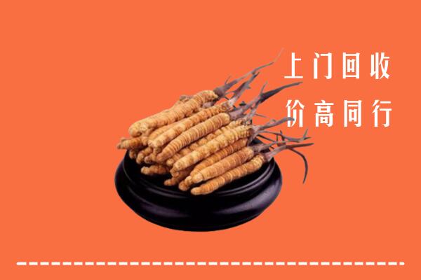 高价求购：深圳光明回收散虫草