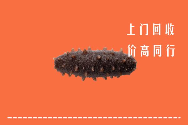 高价求购：深圳光明回收海参