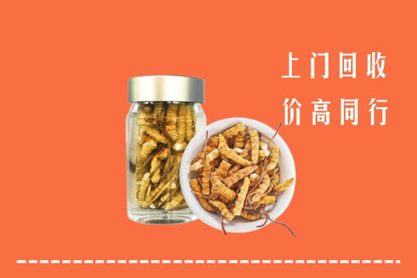 深圳光明回收冬虫夏草