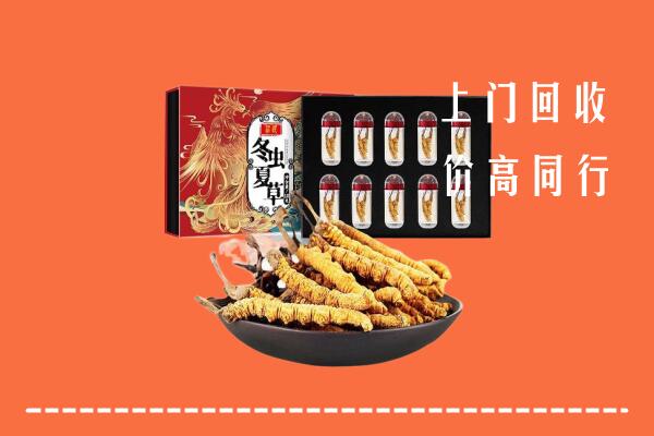 深圳光明回收虫草